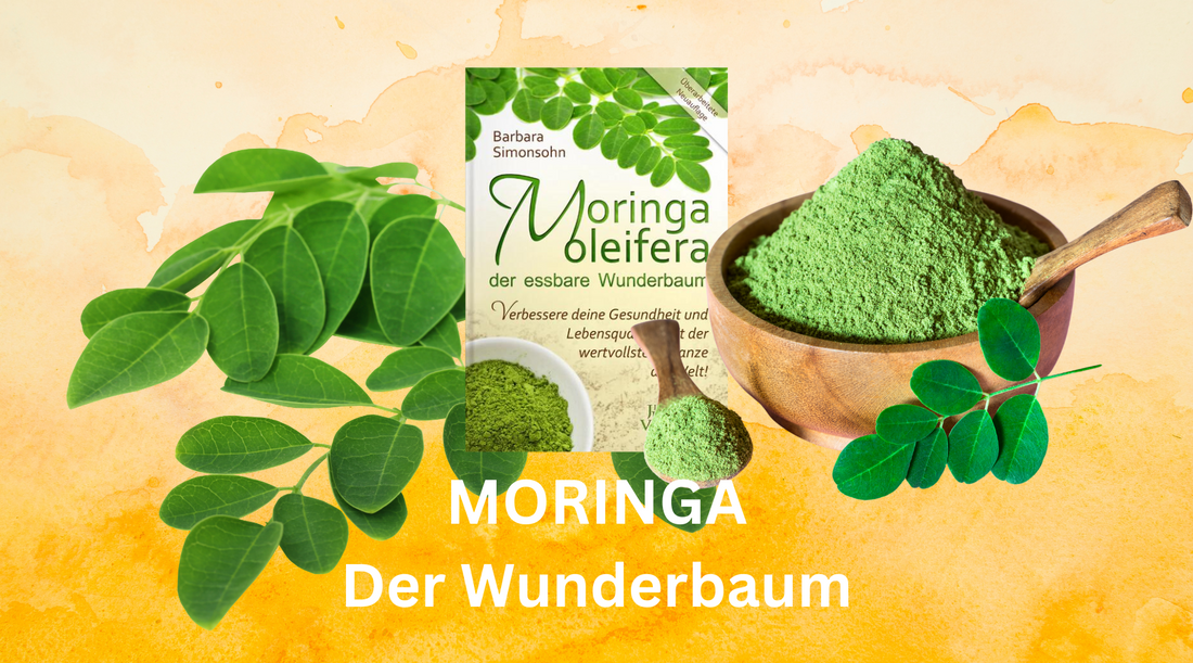 Moringa Baum und Pulver